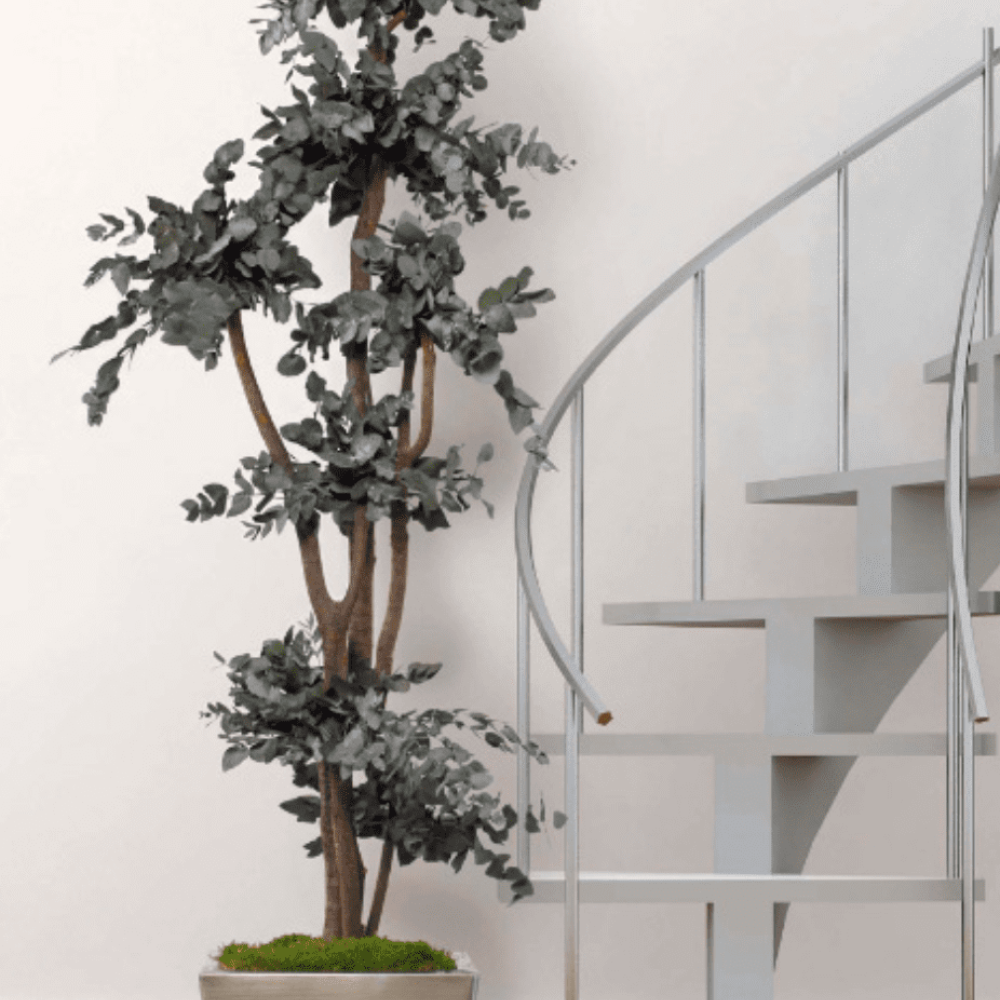 plantas-e-arvores-preservadas