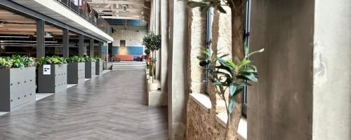 Escritório open space da PWC no Porto com paisagismo corporativo artificial para produtividade