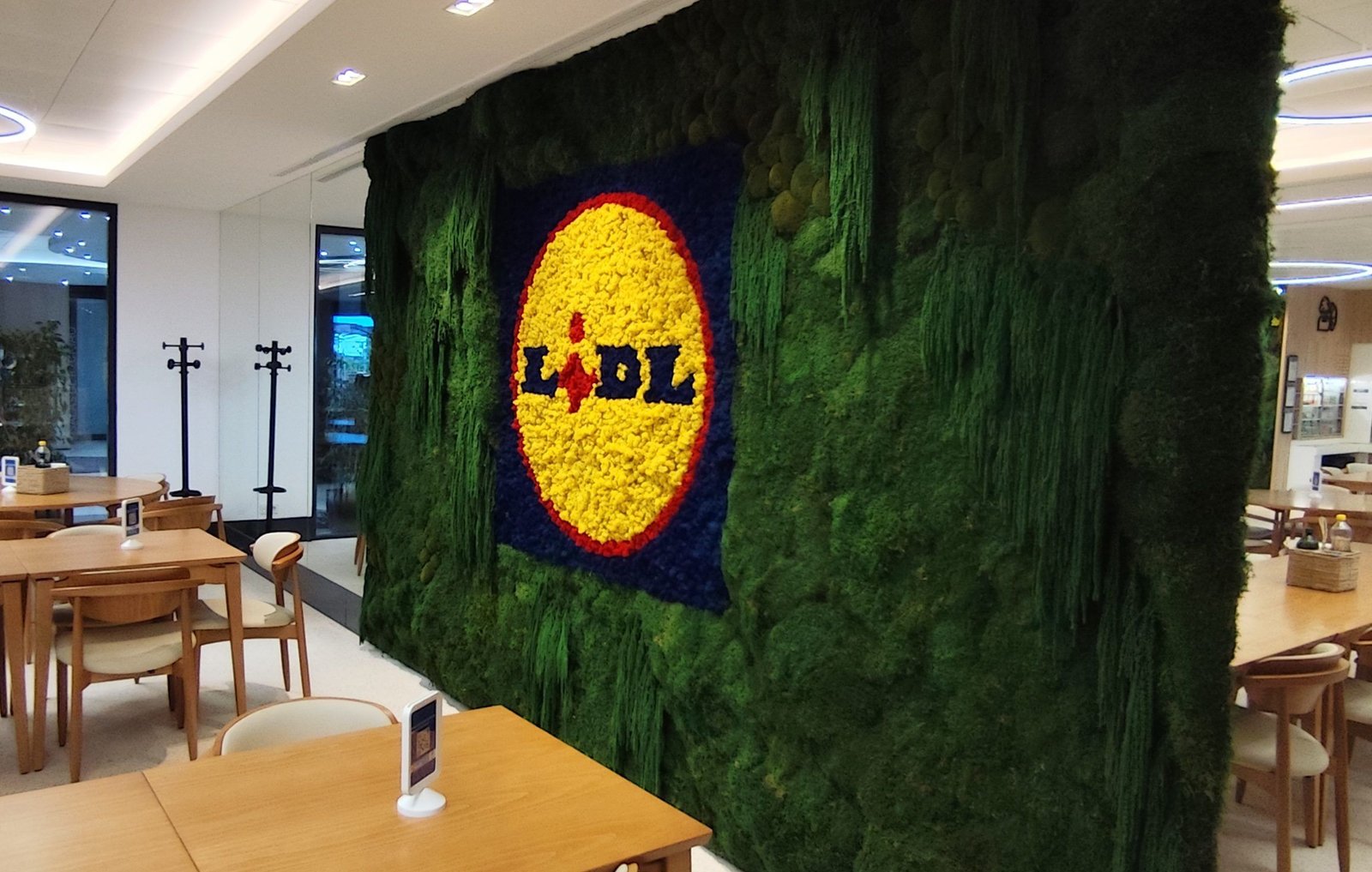 Logótipo do supermercado LIDL em parede de jardim vertical de musgos preservados e musgo reindeer para receção - Projeto Moss n Art Portugal
