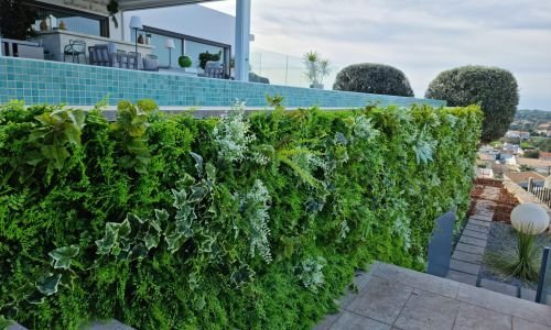 portfolio moss n art