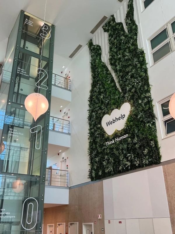 portfolio moss n art