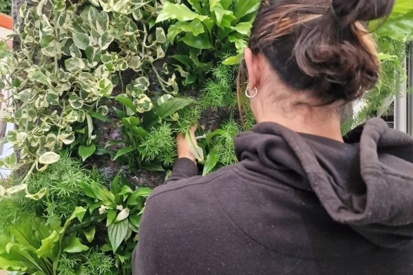 Jardins verticais promovem o verde nos centros urbanos