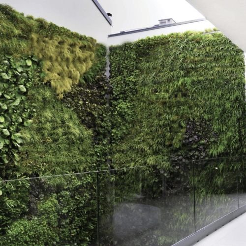 jardim vertical natural