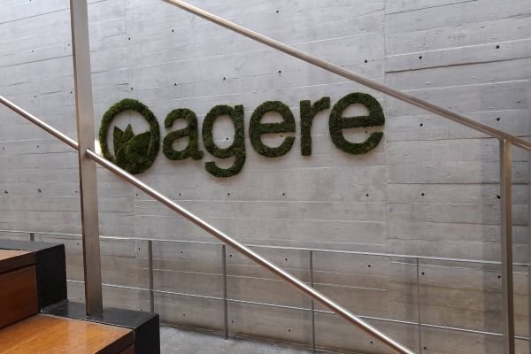 Logotipagem do seu negócio com plantas e musgos