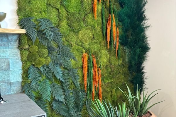 Manutenção de jardins verticais