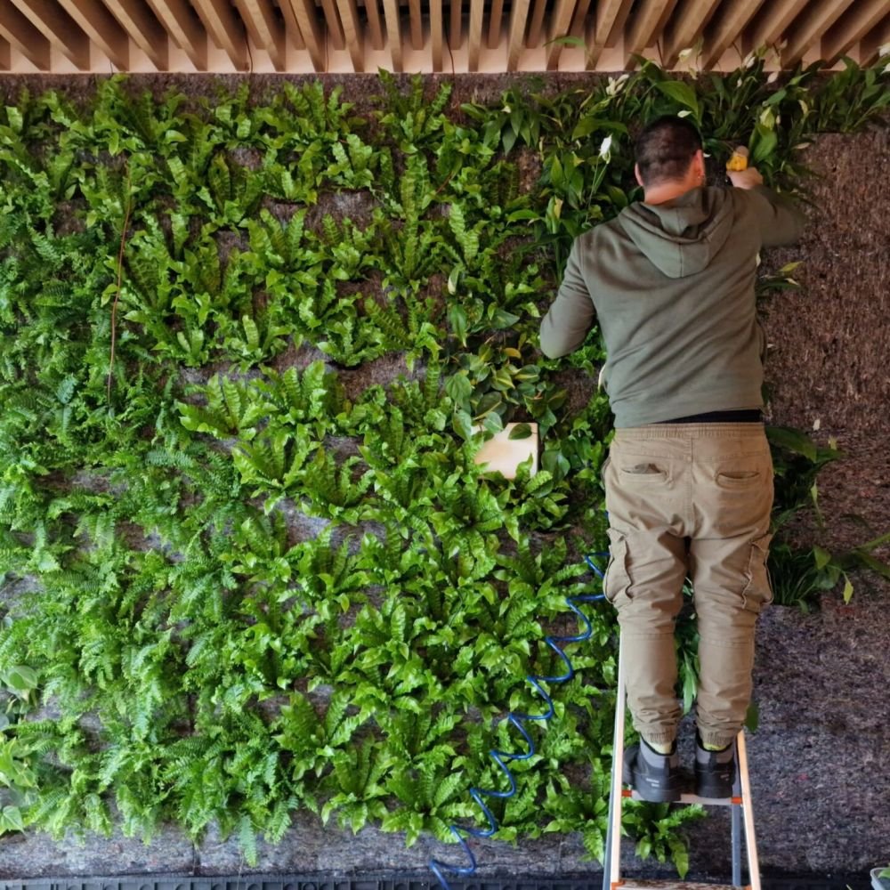 jardim vertical natural