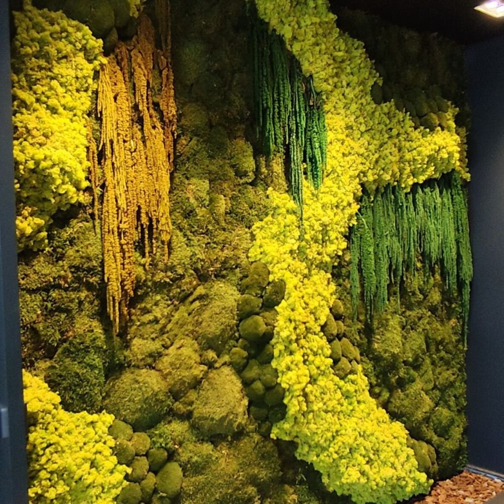 jardim-vertical-preservado-lidl