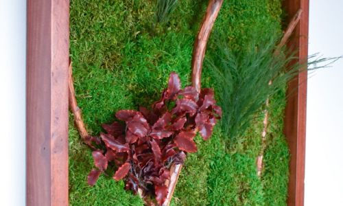 Quadro Musgo 45x100, Galho Dryage, Tree Ferns, e Pitosporum Red
