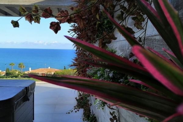 Arquitetura biofílica: como conectar pessoas com o ambiente natural?