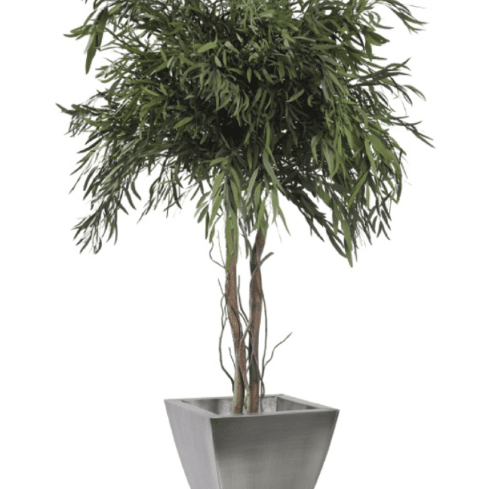 plantas-e-arvores-preservadas