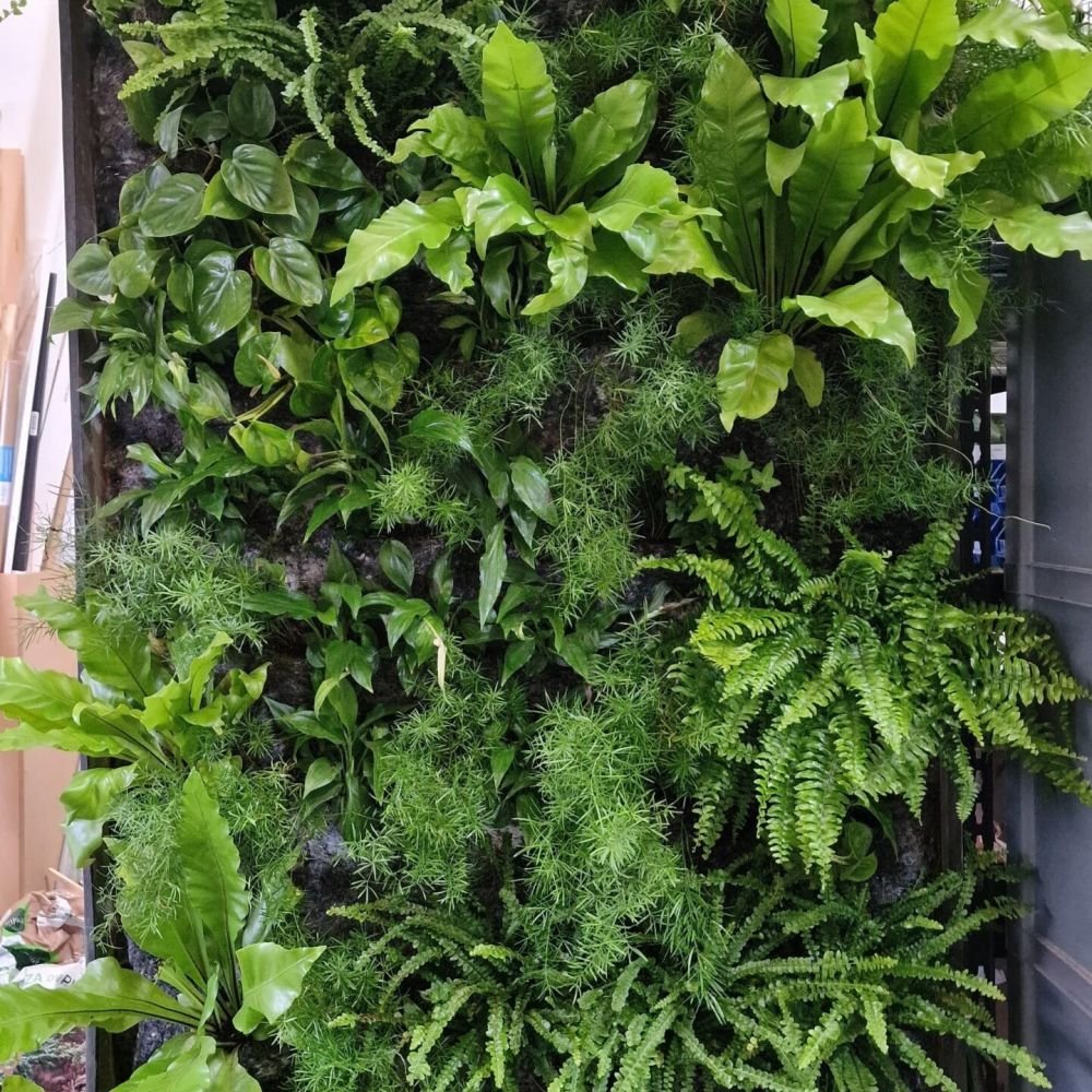 jardim vertical natural