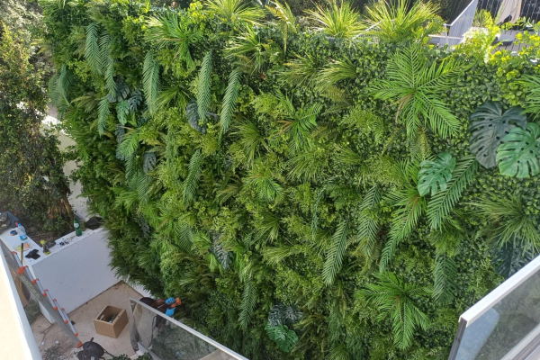 Jardins verticais promovem o verde nos centros urbanos