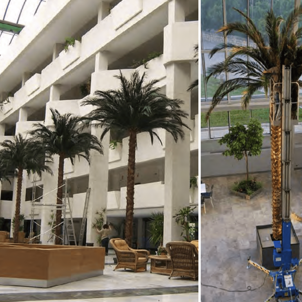 plantas-e-arvores-preservadas