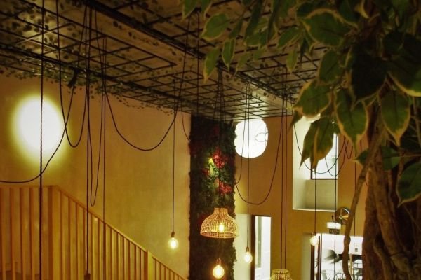 Onde posso instalar um jardim vertical?