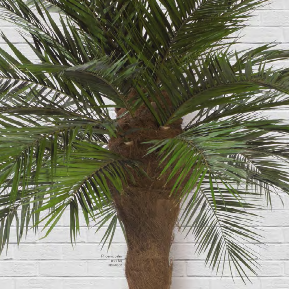 plantas-e-arvores-preservadas