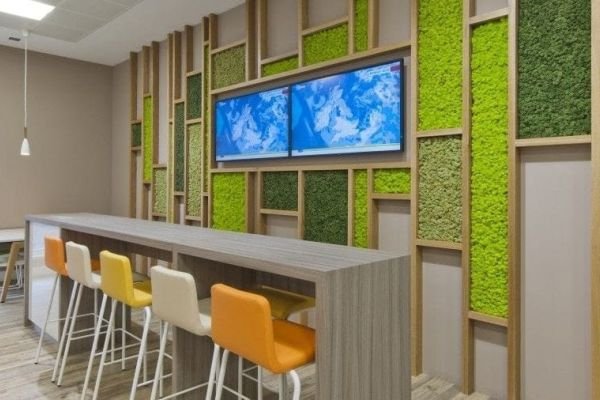 Jardim vertical: 5 motivos para ter um no seu ambiente