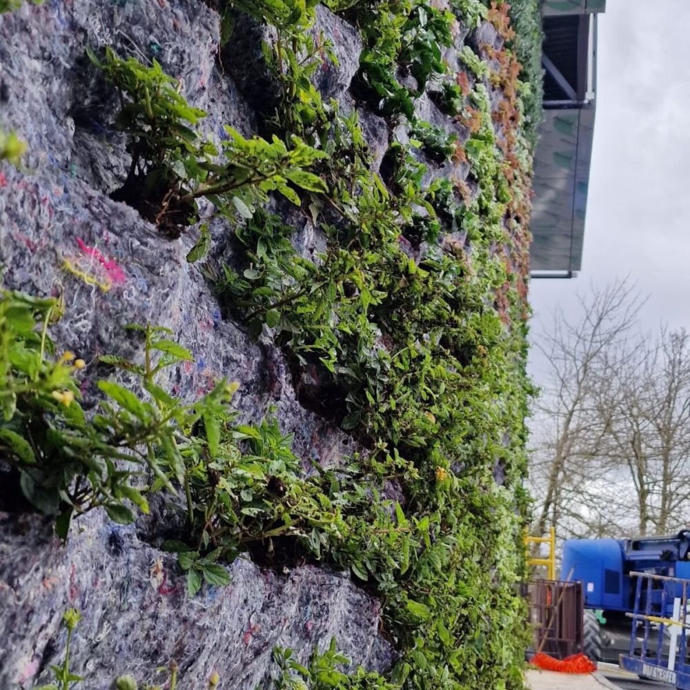 jardim vertical natural