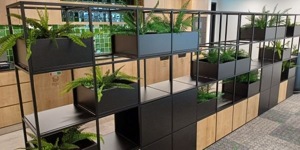 Paisagismo Corporativo em Portugal: Como o Design Biofílico Aumenta a Produtividade e Valoriza a Marca