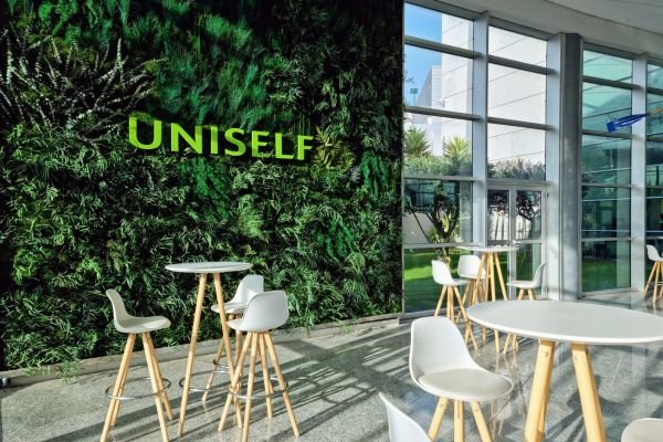Manutenção de Jardins Verticais Naturais, de Plantas Preservadas e de Plantas Artificiais: Dicas e Truques