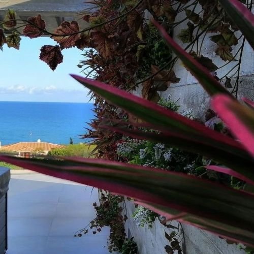 arquitetura-e-biofilia