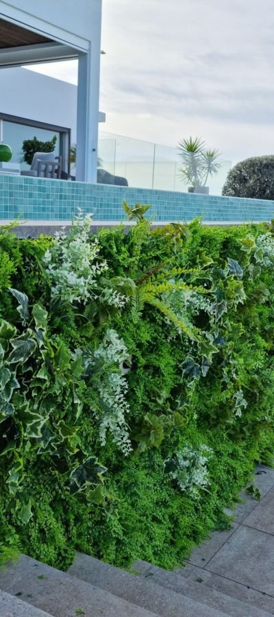 portfolio moss n art