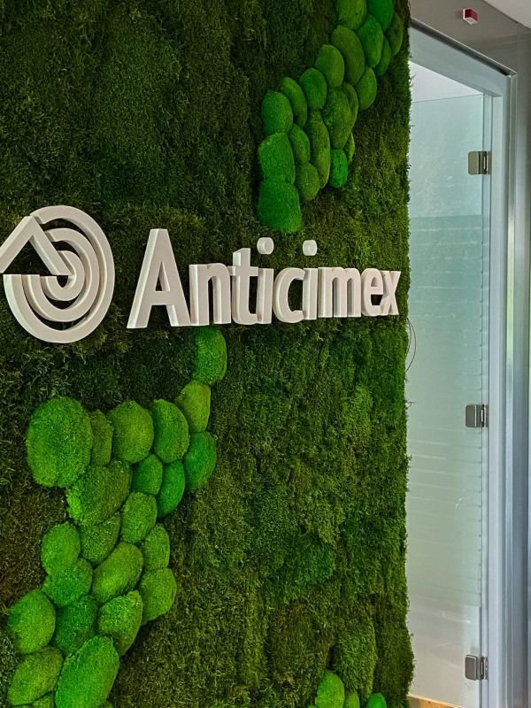 Jardim Vertical Musgo