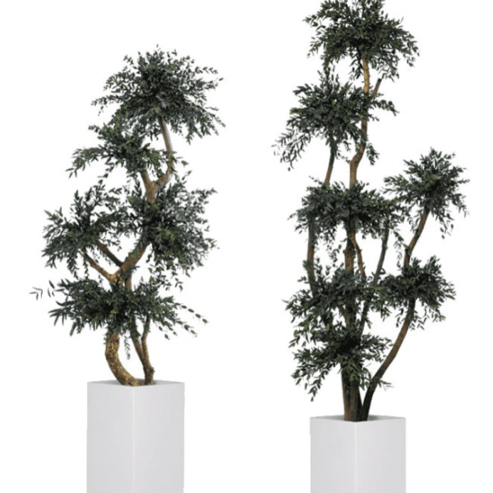 plantas-e-arvores-preservadas