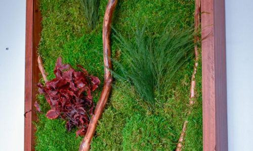 Quadro Musgo 45x100, Galho Dryage, Tree Ferns, e Pitosporum Red