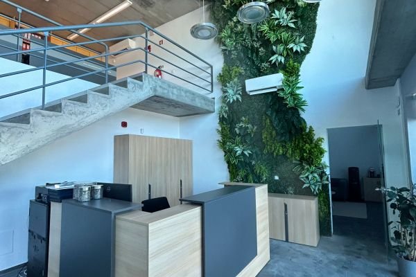 Quais os benefícios de um jardim vertical artificial em Portugal?