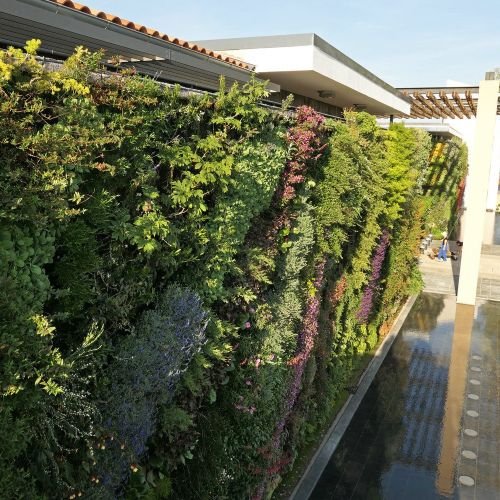 Jardim Vertical Natural