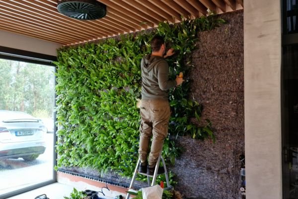Os benefícios dos Jardins Verticais Naturais