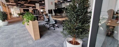 Zona de colaboração com plantas naturais e preservadas para bem-estar corporativo