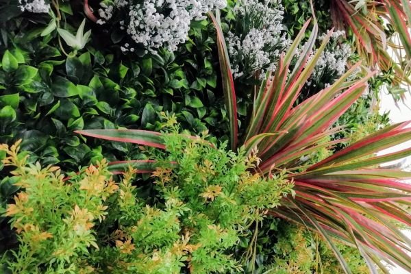 Está sentindo a falta de espaços verdes em sua residência?