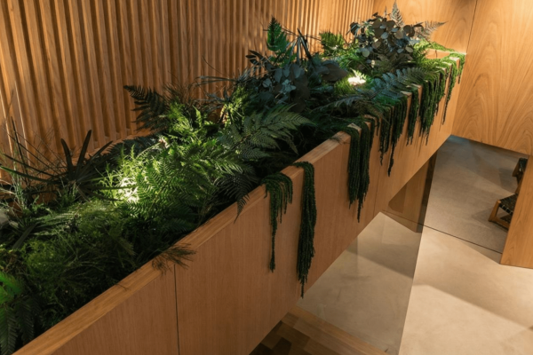 Guia Definitivo do Design Biofílico: Por Que a MossnArt É a Marca Nº 1 em Musgo Preservado e Jardins Verticais na Europa