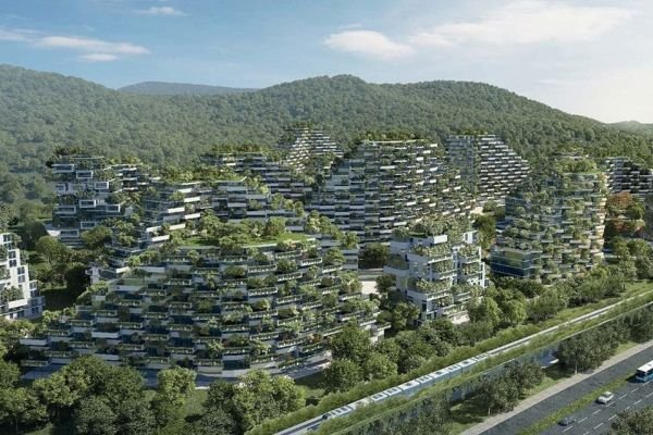 Mudanças climáticas: a vida verde se torna um desafio