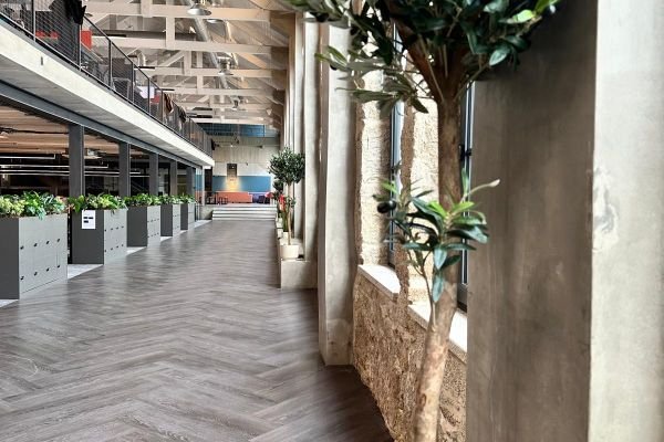 MossnArt: a solução para paisagismo corporativo sustentável em Portugal