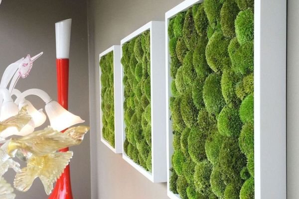 Logotipagem do seu negócio com plantas e musgos