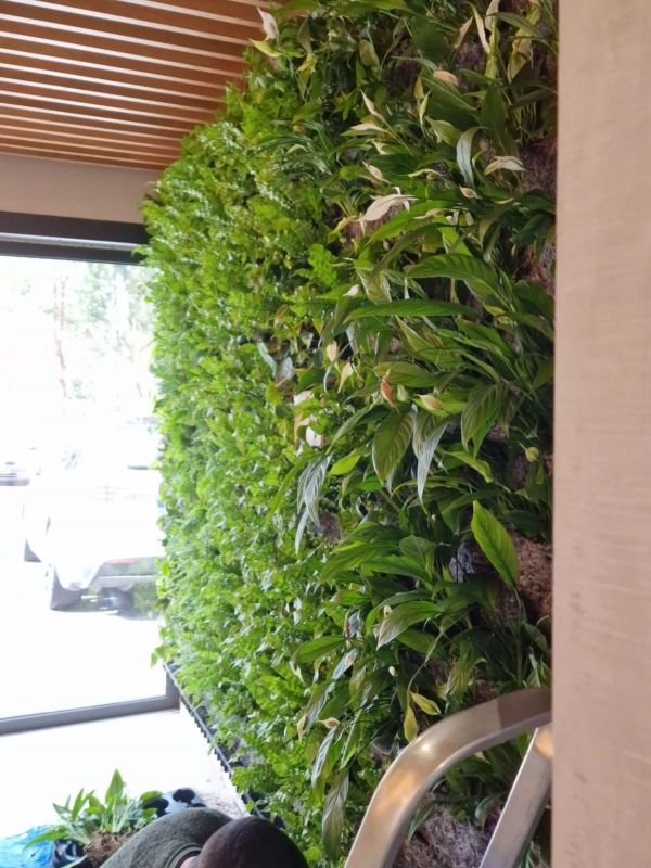 Jardim Vertical Natural