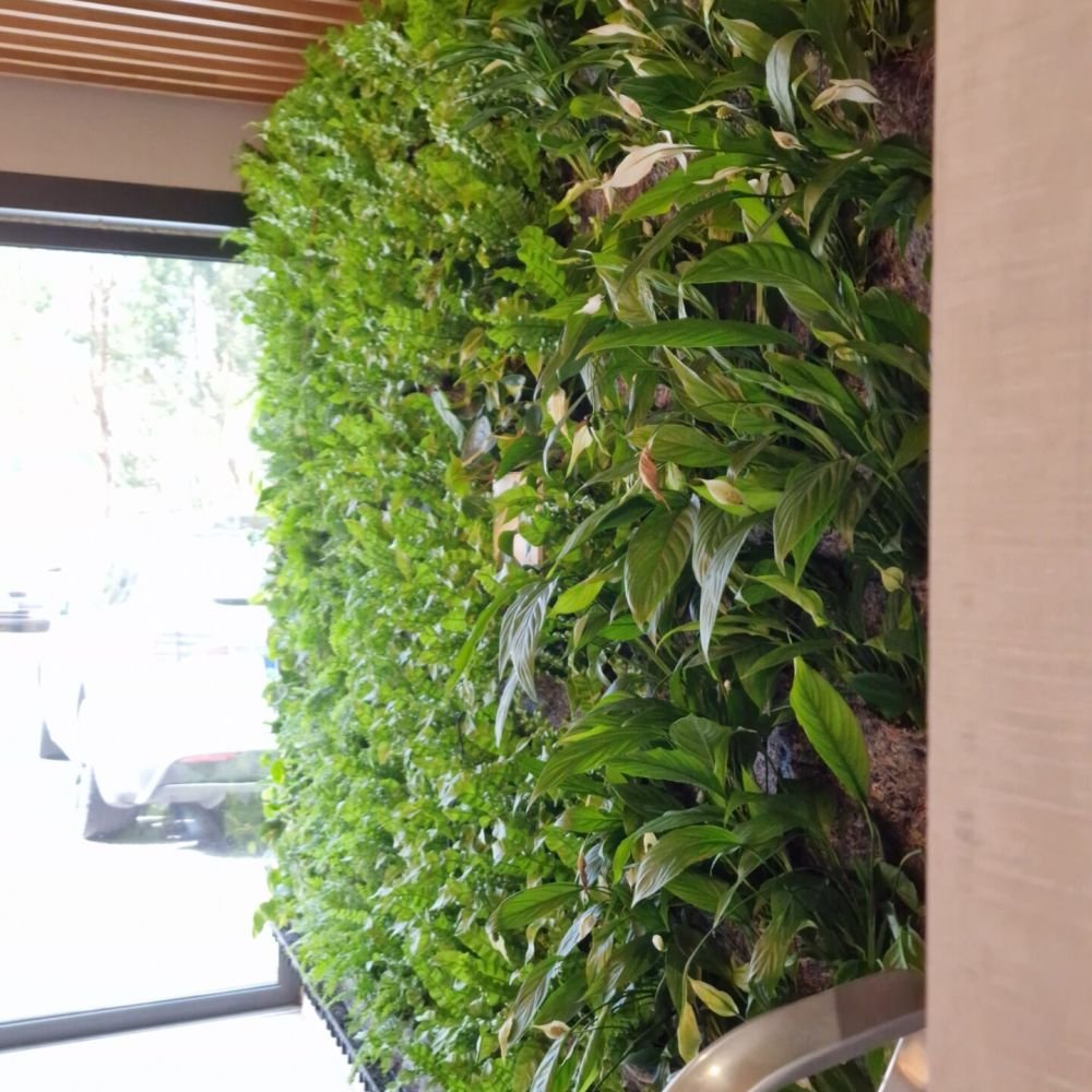 jardim vertical natural