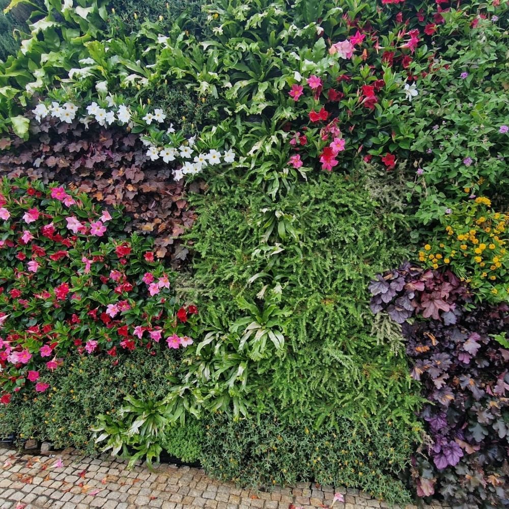 jardim vertical natural