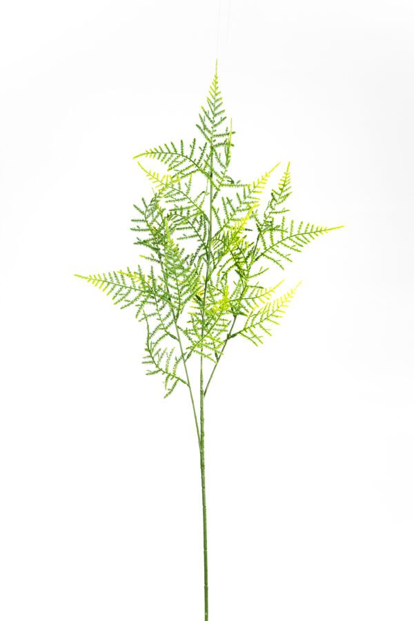 folha de aspargo artificial