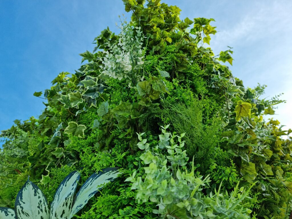 portfolio moss n art