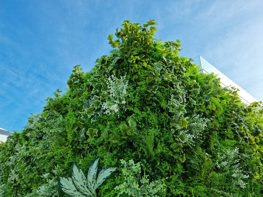 portfolio moss n art