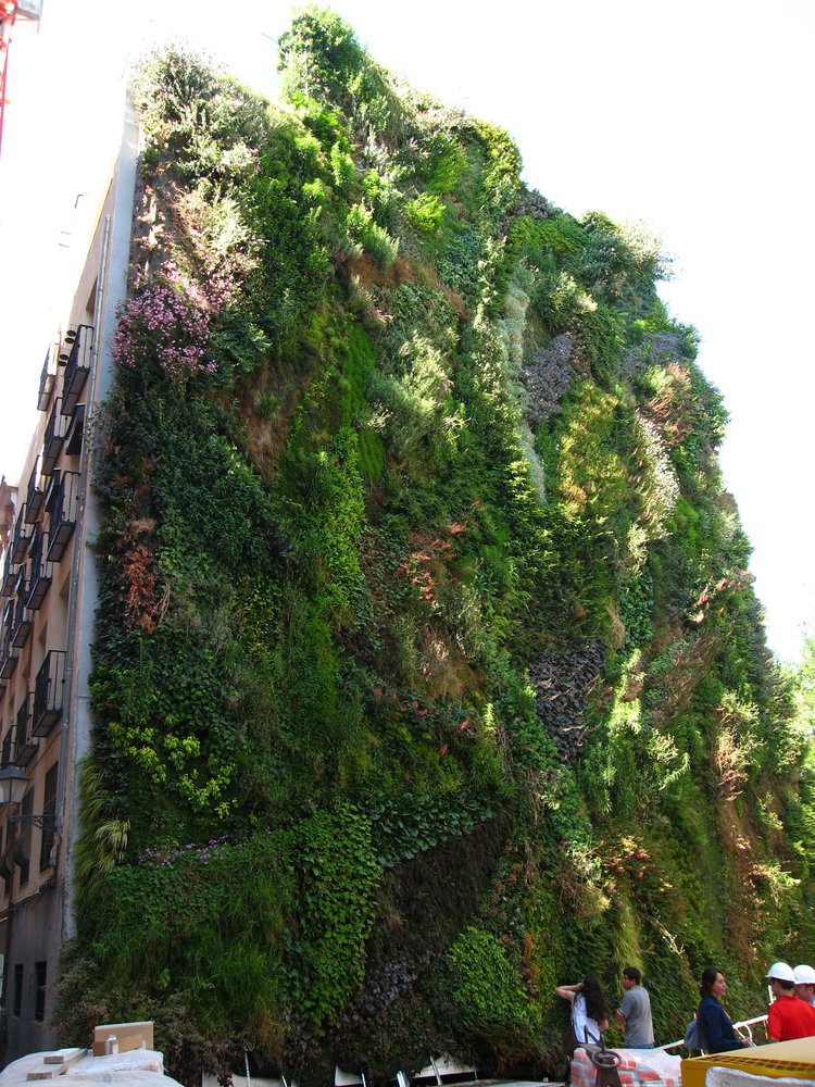 jardim vertical natural